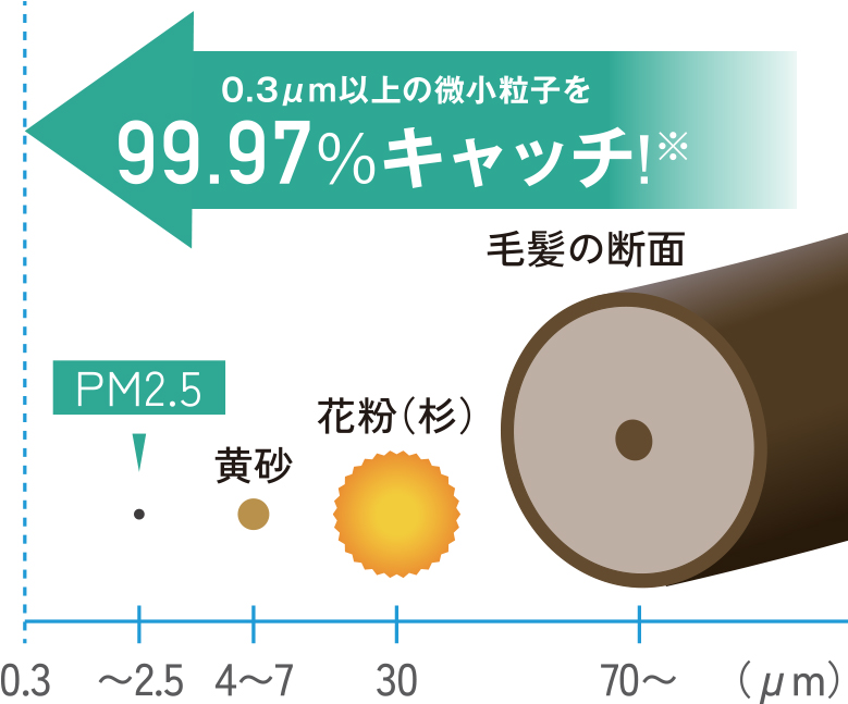 粒子径の比較イメージ