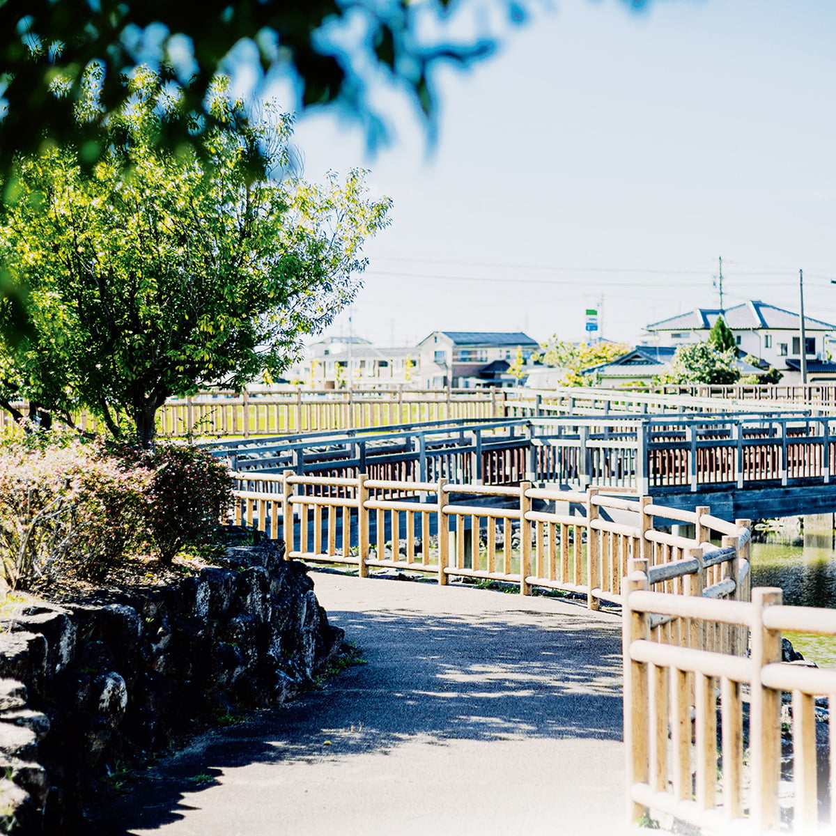 竹村新池公園