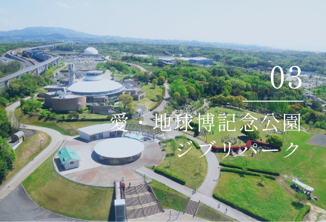 image photo