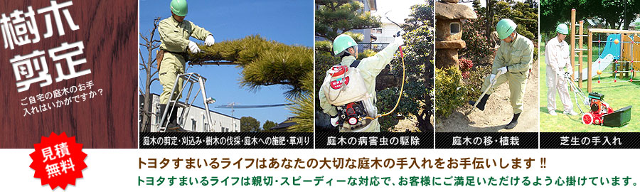 樹木剪定