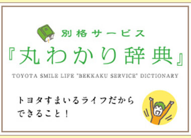 別格サービス『丸わかり辞典』