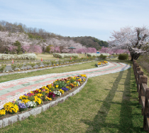 水源公園