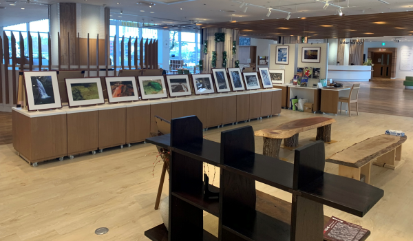 ⾵景写真・創作アプリケ・銘⽊」展1
