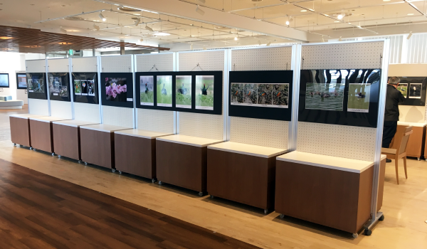 杉浦勝・生き物写真展1