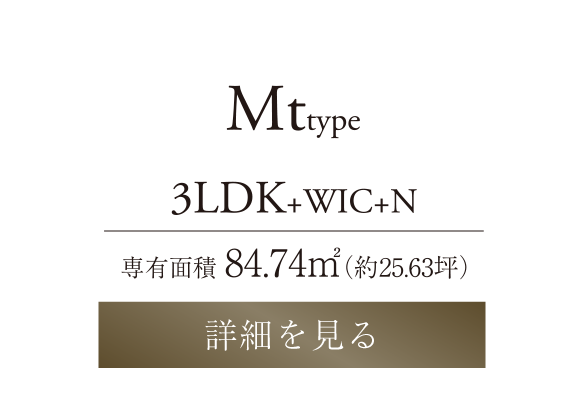 mtttype
